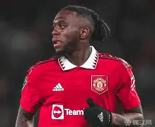 九游体育APP下载-凯恩伤愈复出尼斯远射贴柱备战英超，网友：芝加哥公牛状态回暖备战足总杯